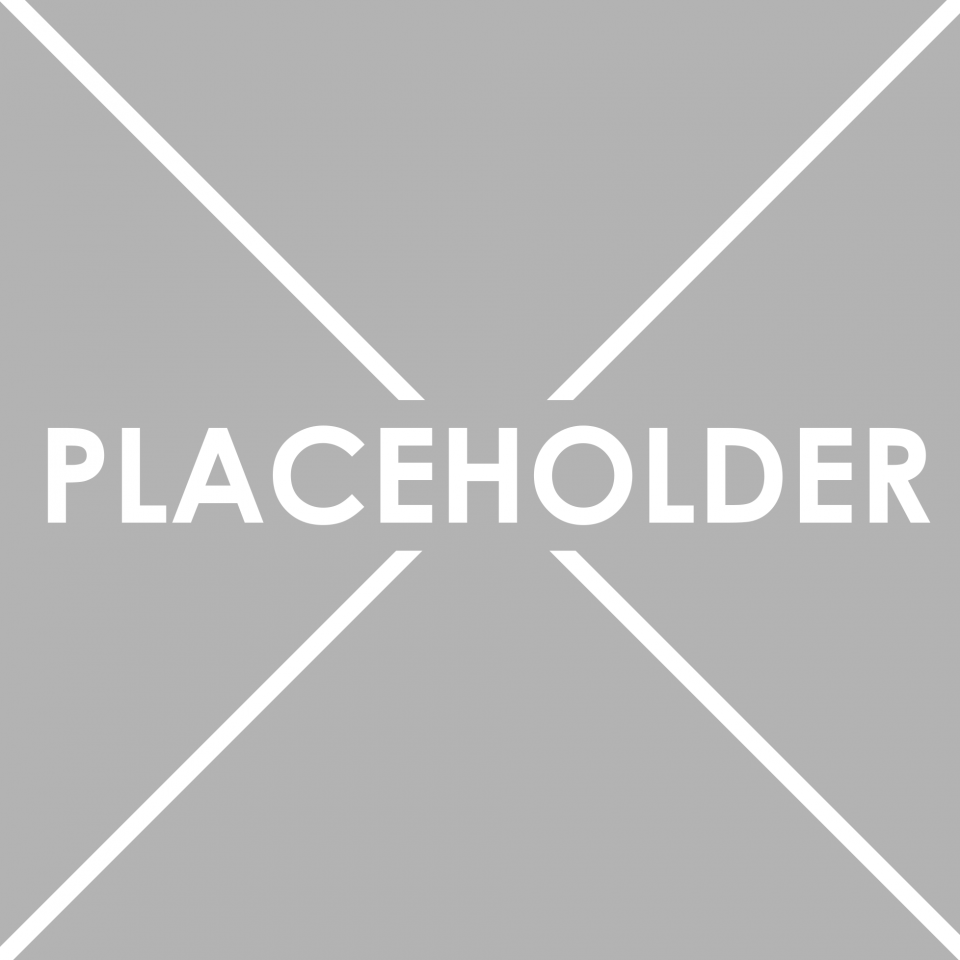 placeholder-2